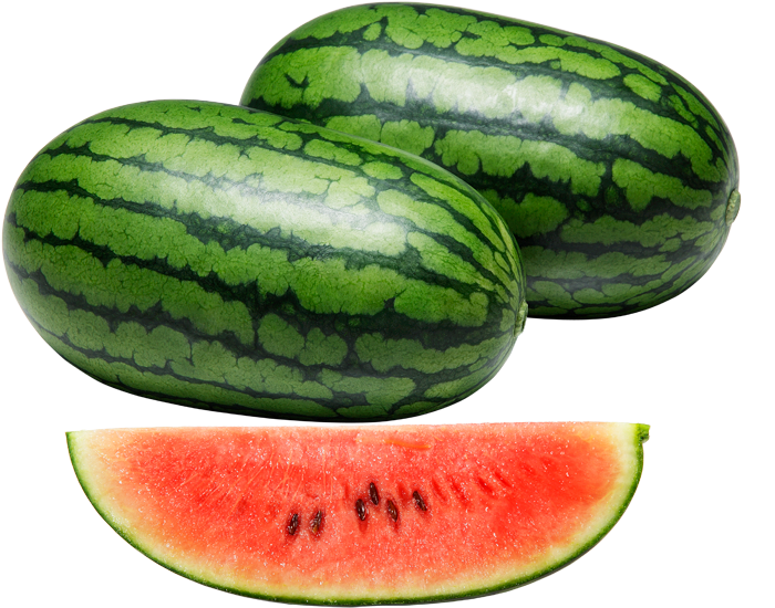 大和農園 スイカ種子 俵小町【取り寄せ注文】＊種子有効期限2026年11