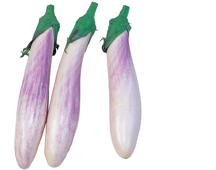 大和農園 ナス種子 うすむらさき【取り寄せ注文】※2024春発芽率低下の