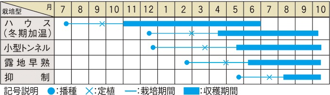 大和農園 ナス種子 うすむらさき【取り寄せ注文】＊種子有効期限2026年