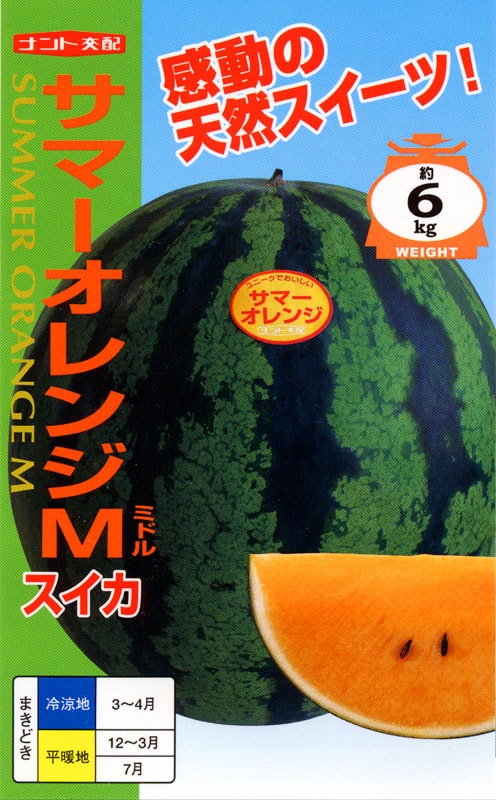 スイカサマー 今日の31フレーバー は『スイカサマー』🍉 まるで本物のスイカ