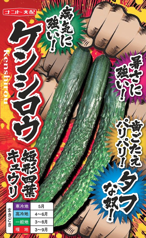ナント種苗 キュウリ種子 ケンシロウ短形四葉【取り寄せ注文】＊種子