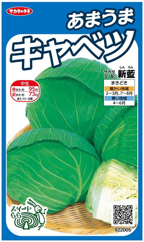 サカタのタネ キャベツ種子 新藍【取り寄せ注文】＊種子有効期限2026年