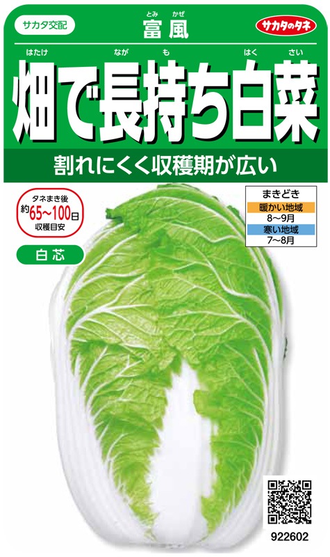 白菜 ハクサイ 【ムーンビーチ】 種 タネ SEED ※海外持ち出し禁止 白菜 ハクサイ 【ムーンビーチ】 種 タネ SEED ※海外持ち出し禁止