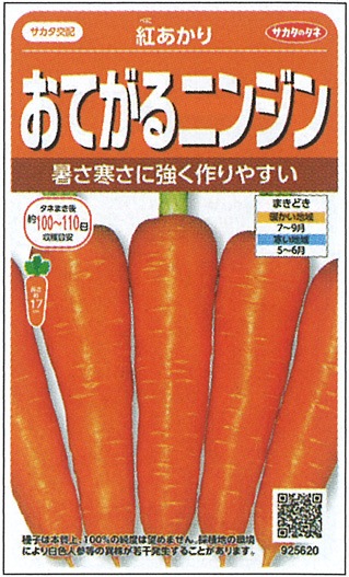 サカタのタネ ニンジン種子 紅あかり【取り寄せ注文】※通年商品 | 小林