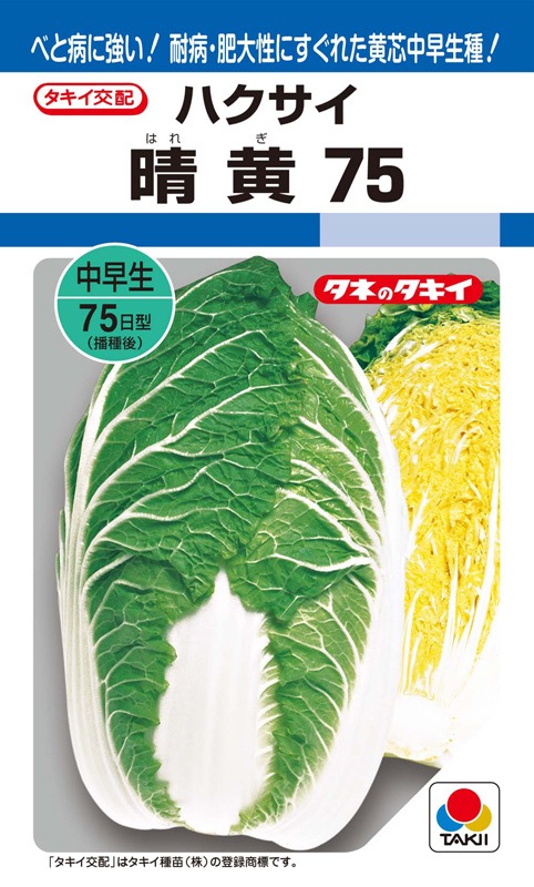 タキイ ハクサイ 晴黄75 Aha00x 葉菜類 白菜 小林種苗株式会社