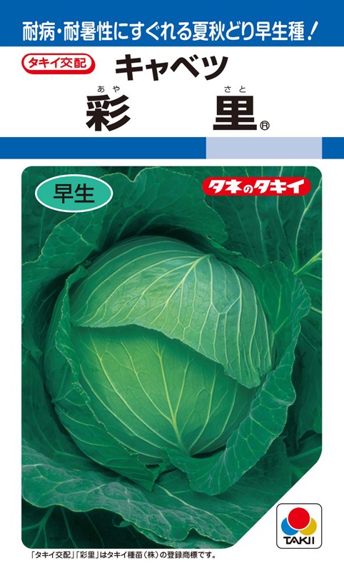 タキイ種苗 キャベツ種子 彩里[ACA004]【取り寄せ注文】 | 小林種苗