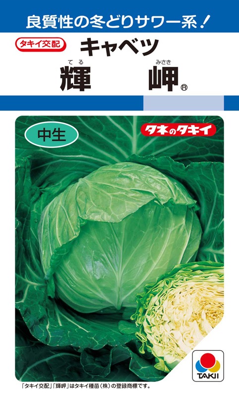 タキイ種苗 キャベツ種子 輝岬[ACA00A]【取り寄せ注文】※2025秋品薄