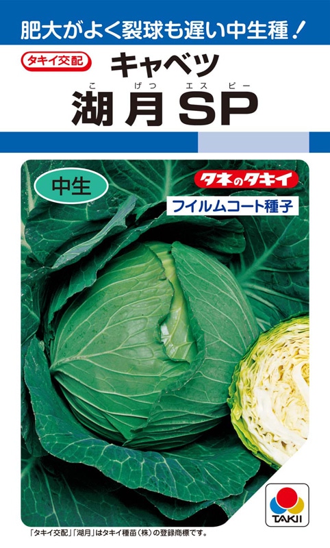 キャベツ苗　200本　冬魂 タキイ種苗 キャベツ種子 湖月SP[ACA00Y]【取り寄せ注文】 | 小林種苗