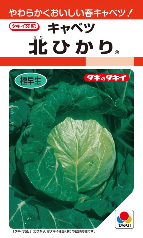 タキイ種苗 キャベツ種子 北ひかり[ACA056]【取り寄せ注文】 | 小林