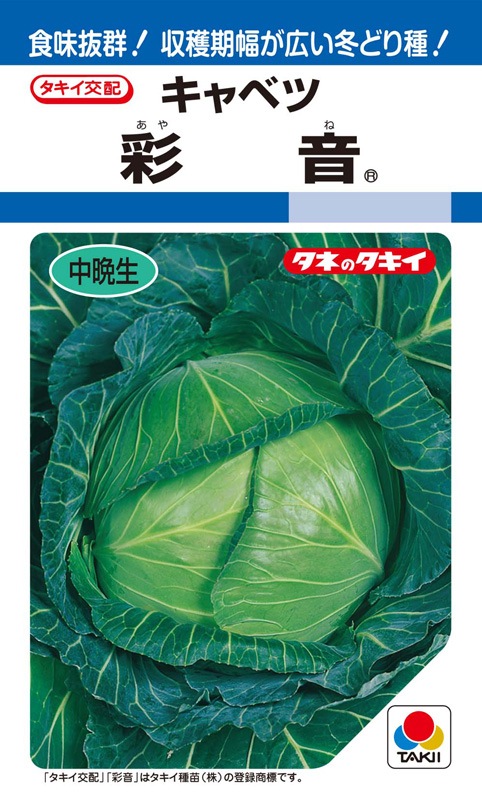 キャベツ様用 タキイ種苗 キャベツ種子 彩音[ACA069]【取り寄せ注文】＊種子