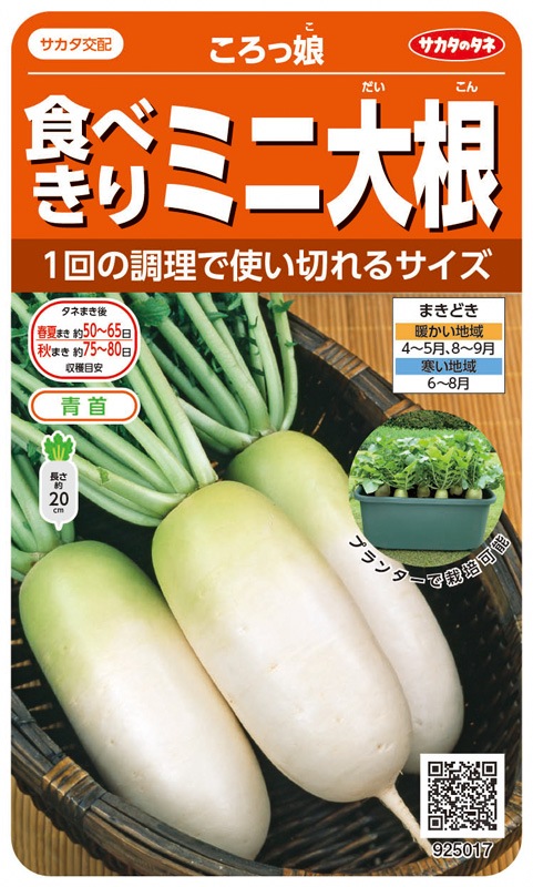 サカタのタネ ダイコン種子 ころっ娘【取り寄せ注文】※通年商品＊種子