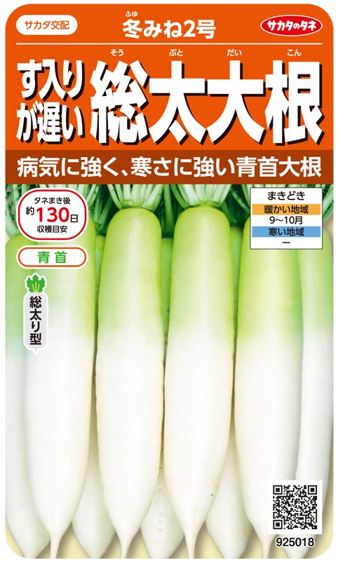 サカタ 大根 冬みね2号 根菜類 大根 暖地向け大根 10月まき 小林種苗株式会社 サカタ 大根 冬みね2号 根菜類 大根 暖地向け大根 10月まき 小林種苗株式会社