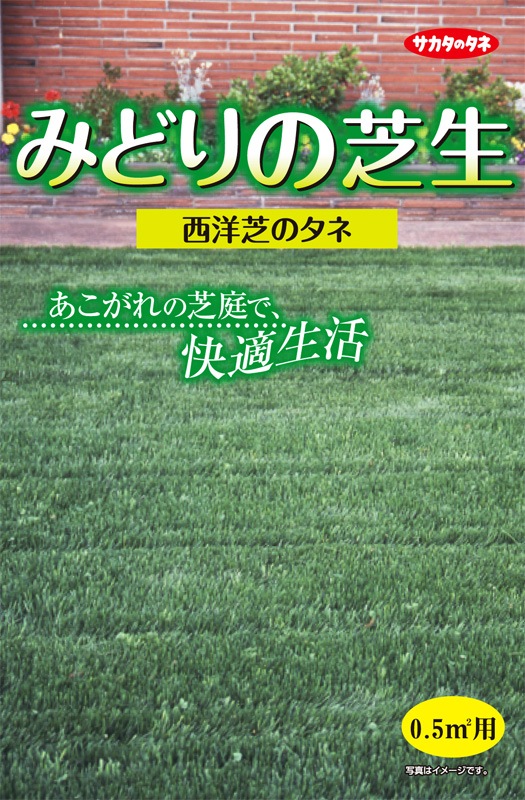 サカタ みどりの芝生 西洋芝のタネ 0 5 用袋 詰量 25g 芝草 緑肥 景観用 絵袋詰 小林種苗株式会社