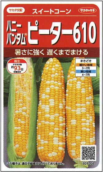 サカタのタネ スイートコーン種子 ハニーバンタム ピーター610