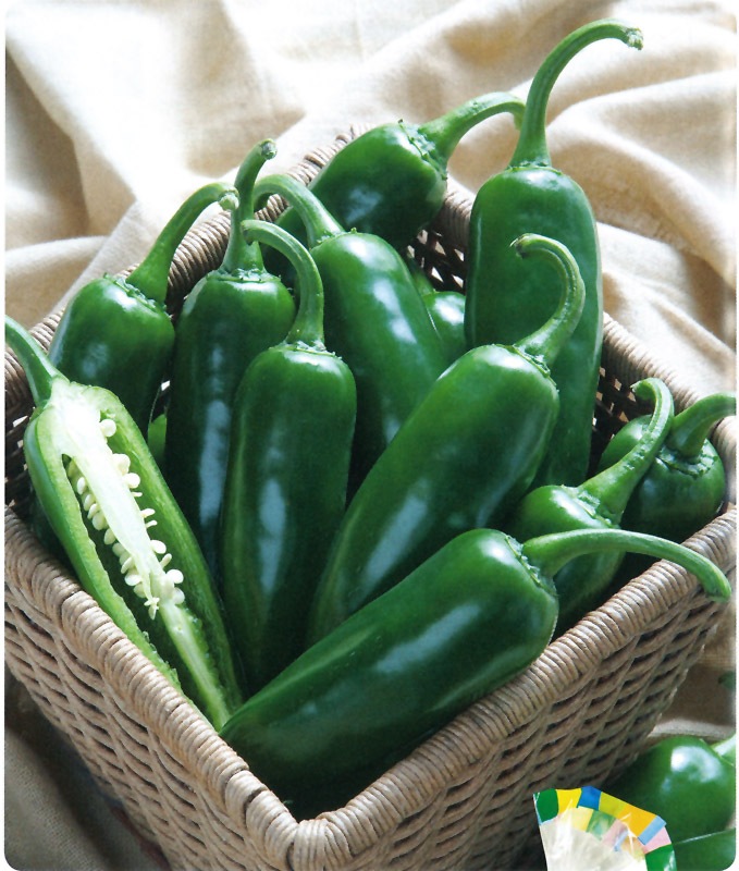 ピーたろう ピー太郎 ピーマン ｜ 品種カタログ ｜ タキイの野菜【タキイ種苗】