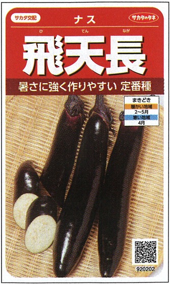 サカタのタネ ナス種子 飛天長【取り寄せ注文】※春のみの商品 | 小林