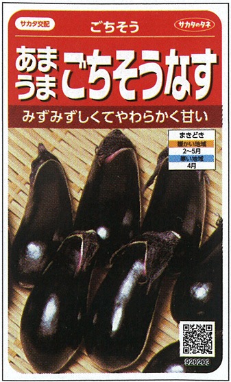 サカタのタネ ナス種子 ごちそうなす【取り寄せ注文】※春のみの商品