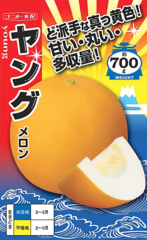 ナント種苗 メロン種子 ヤング【取り寄せ注文】※低発芽のため20％増量