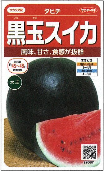 サカタのタネ スイカ種子 タヒチ【取り寄せ注文】※春のみの商品 | 小林