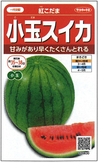 サカタ スイカ 紅こだま 果菜類 瓜類 スイカ 小林種苗株式会社 サカタ スイカ 紅こだま 果菜類 瓜類 スイカ 小林種苗株式会社