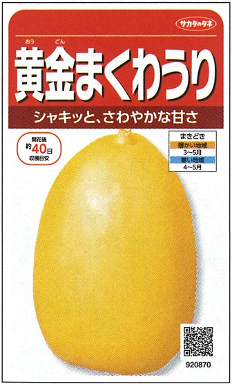 サカタ マクワ瓜 黄金まくわうり 実咲小袋 9870 果菜類 瓜類 マクワ瓜 小林種苗株式会社