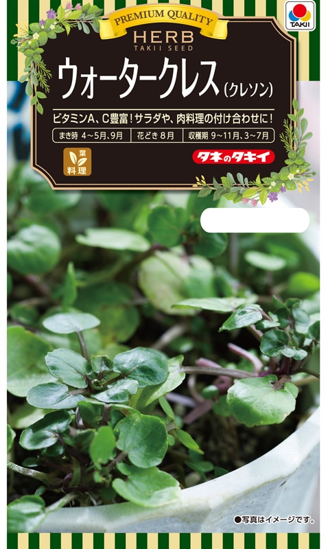 タキイ種苗 NLハーブ ウォータークレス（クレソン）小袋(0.5ml)[ATY607