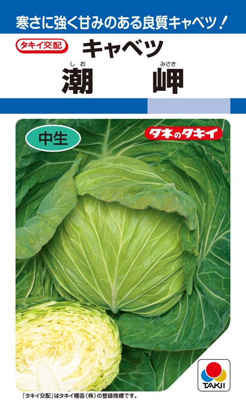 タキイ種苗 キャベツ種子 潮岬[ACA074]【取り寄せ注文】 | 小林種苗