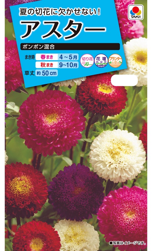 タキイ Nl150 アスター ポンポン混合 小袋 Fas109 草花種子 小袋 5月まきの花の種 アスター 小林種苗株式会社 タキイ Nl150 アスター ポンポン混合 小袋 Fas109 草花種子 小袋 5月まきの花の種 アスター 小林種苗株式会社