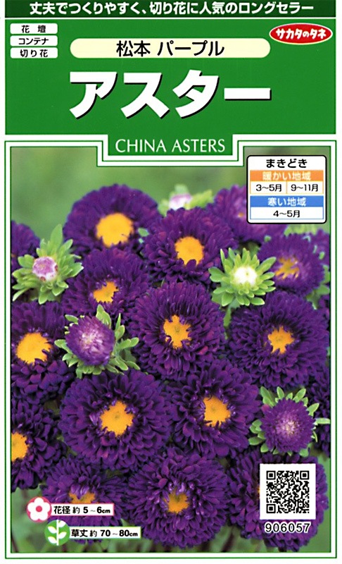 サカタ 実咲0 アスター 松本 パープル 小袋 22春新種予約 12月中下旬以降入荷予定 草花種子 小袋 11月まきの花の種 小林種苗株式会社