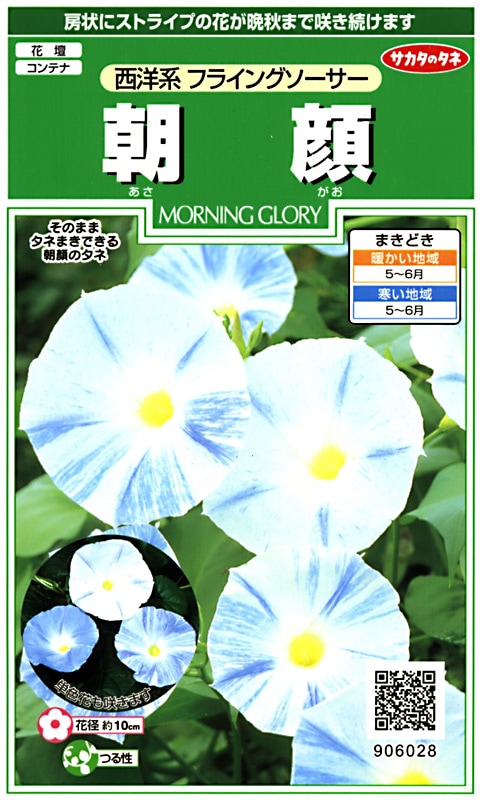 サカタのタネ 実咲250 朝顔 西洋系 フライングソーサー 小袋[906028