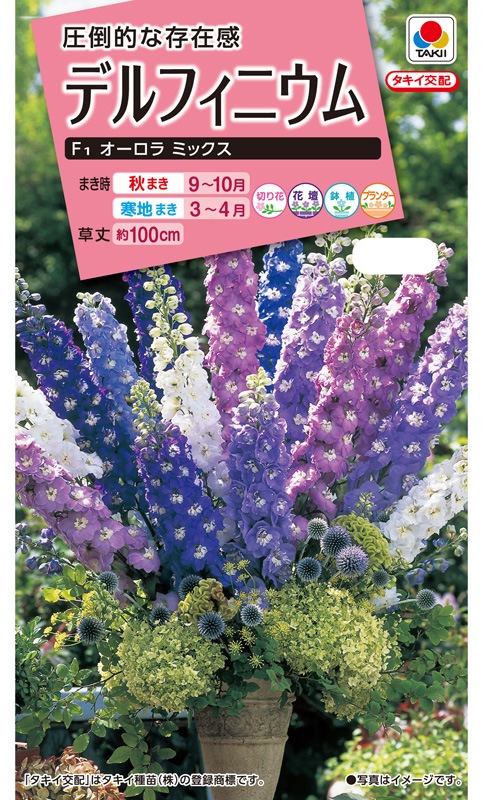 タキイ Nl300 デルフィニウム F1 オーロラミックス 小袋 Fdl219 草花種子 小袋 デルフィニューム 小林種苗株式会社