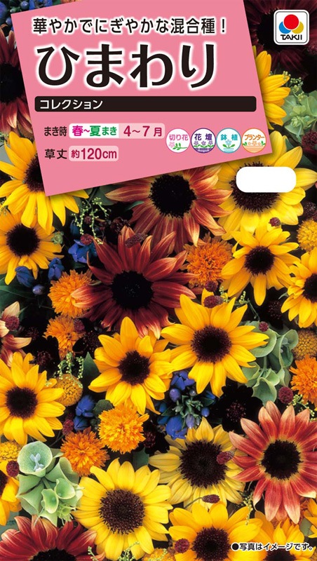 タキイ NL300 ひまわり コレクション 小袋[FHM604]【取り寄せ注文】※春