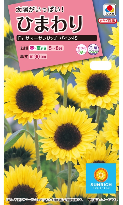 タキイ NL300 ひまわり F1サマーサンリッチパイン45 小袋[FHM513