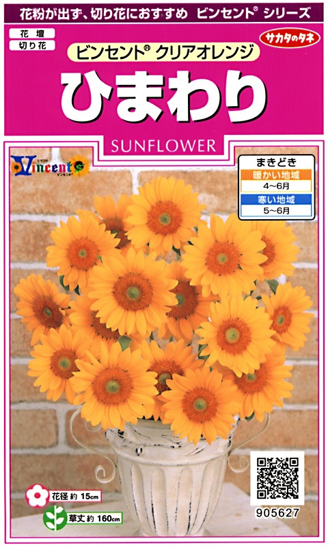 サカタのタネ 実咲350 ひまわり ビンセント クリアオレンジ 小袋