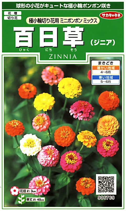 サカタ 実咲0 百日草 ジニア 極小輪切り花用 ミニポンポン ミックス 小袋 22春新種予約 12月中下旬以降入荷予定 草花種子 小袋 6月まきの花の種 小林種苗株式会社