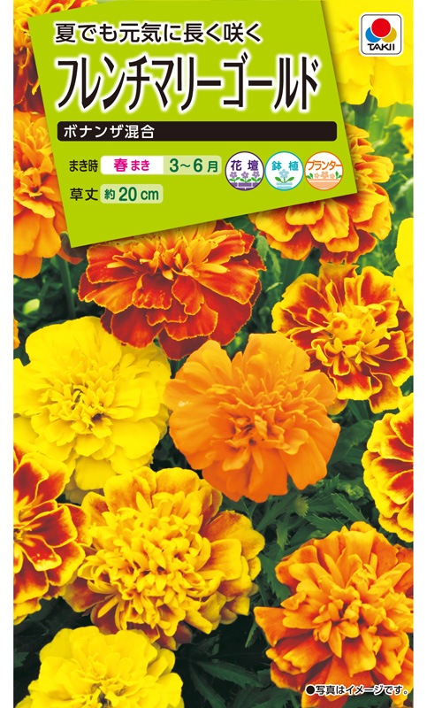 マリンゴールド 3本セット 温 