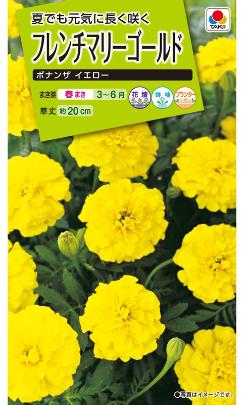 1_011041000005.jpg?1678209903