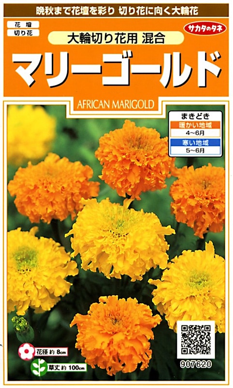 サカタのタネ 実咲200 マリーゴールド 大輪切り花用 混合 小袋[907620