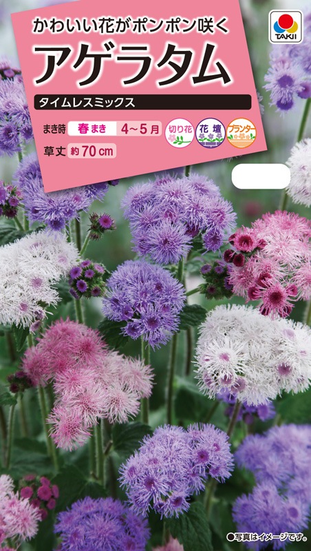 タキイ Nl300 アゲラタム タイムレス ミックス 小袋 Faga00 草花種子 小袋 アゲラタム 小林種苗株式会社