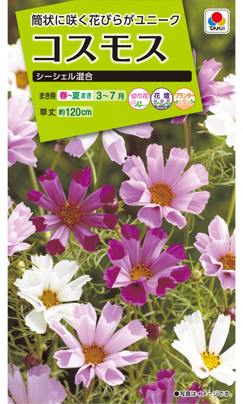 コスモスガーデニングさま専用★☆フエルアルバム 台紙 18セット☆★ タキイ NL200 コスモス シーシェル混合 小袋[FCS140]【取り寄せ注文