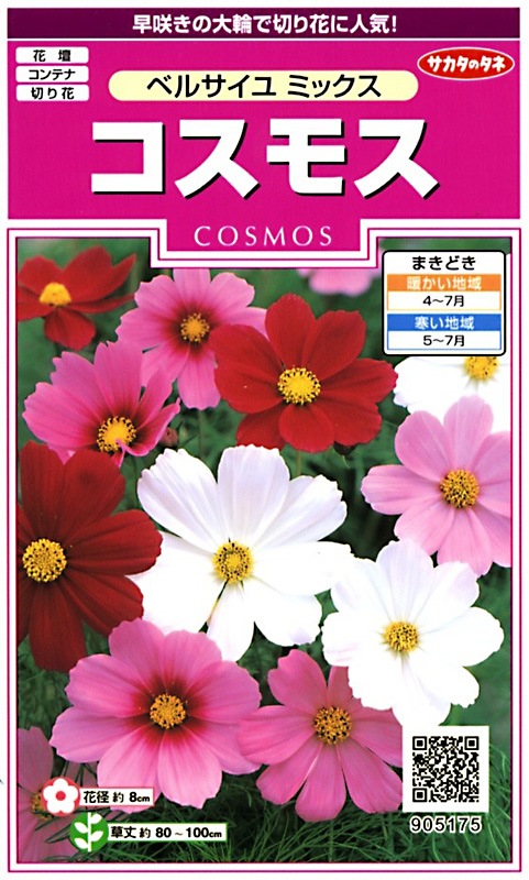 サカタのタネ 実咲350 コスモス ベルサイユ ミックス 小袋[905175