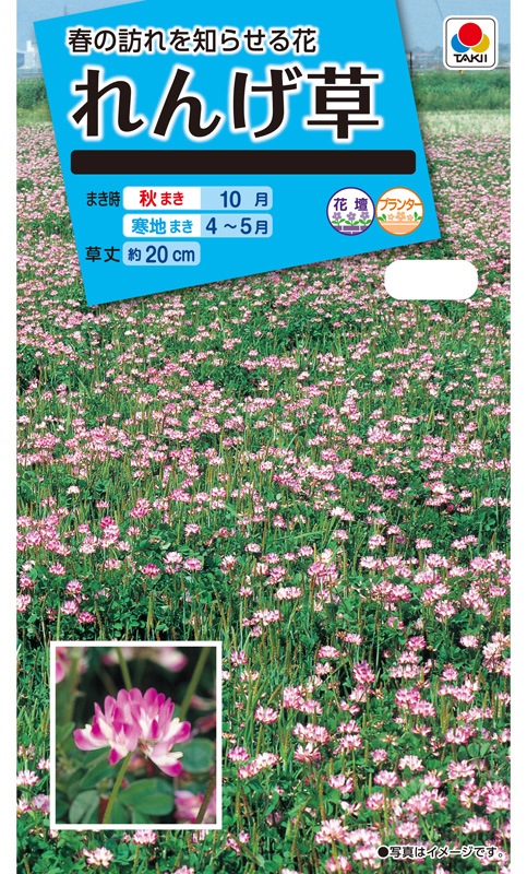 24年 れんげ種子 5kg 24年れんげ種子5kg