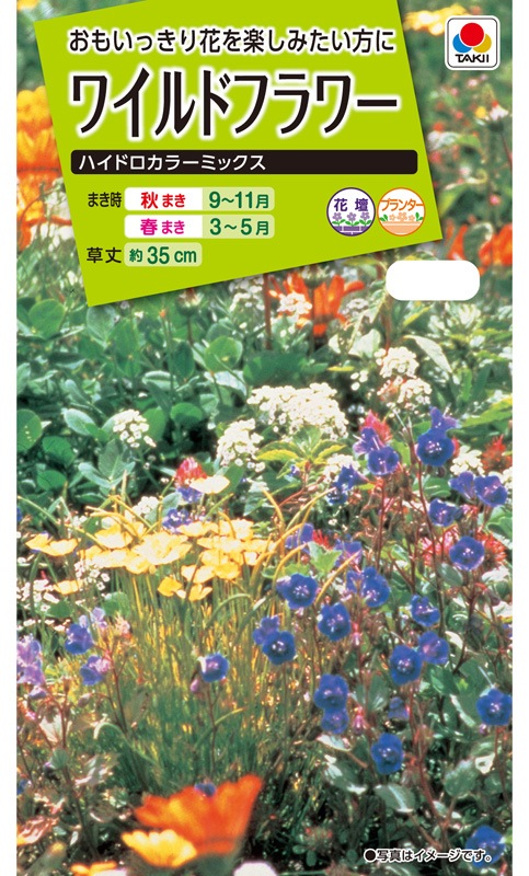 未使用✴︎大判 ブランケット　ボタニカル　植物　ワイルドフラワー 未使用✴︎大判 ブランケット ボタニカル 植物 ワイルドフラワー