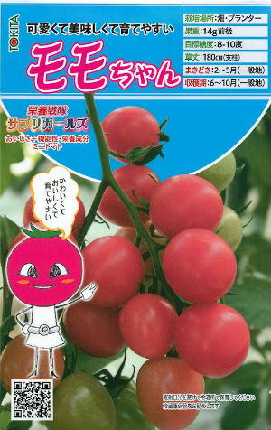 トキタ種苗 カラフルミニトマト種子 サプリガールズ シリーズ
