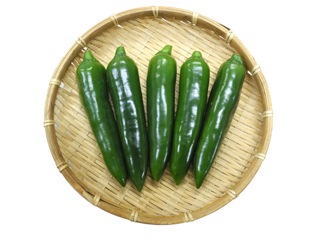 山陽種苗　ベジタブルユーキ　野菜全般　肥料