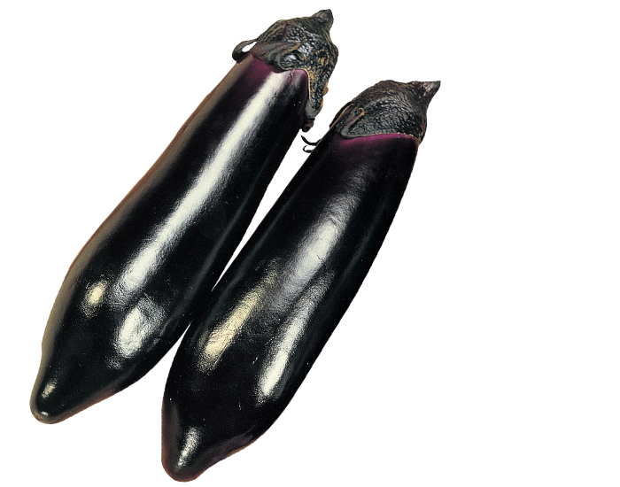 大和農園 ナス種子 黒寿中長【取り寄せ注文】【2026年春種予約商品