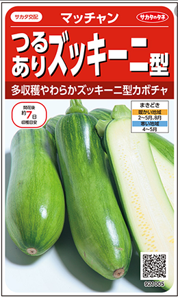 青緑色 かぼちゃ型 菓子入れ 旬！贈答用！知る人ぞ知る幻の極利（ごくり）かぼちゃ：鹿児島県産の