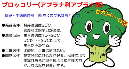 ナント種苗 ブロッコリー種子 夢あたる【取り寄せ注文】※低発芽の為20