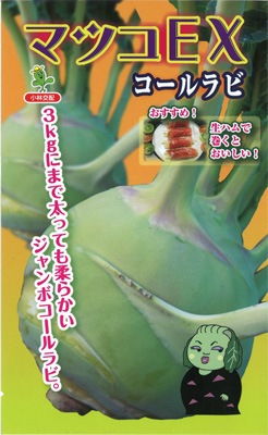 小林種苗 コールラビ種子 マツコEX 【2026年秋種予約商品】 | 小林種苗