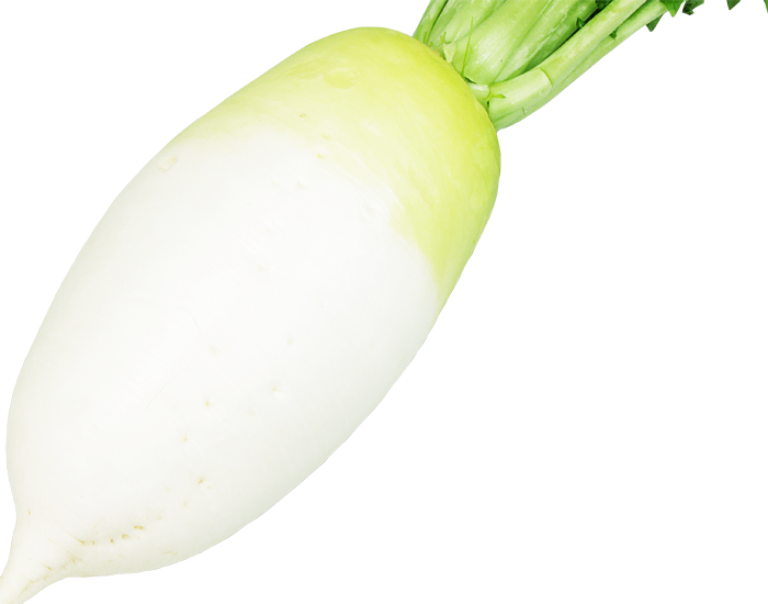 大和農園 ダイコン種子 あじまるみ【取り寄せ注文】【2026年春種予約